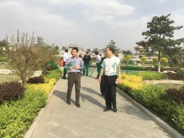 首页-人生就是博