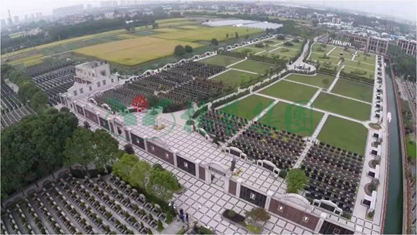 首页-人生就是博