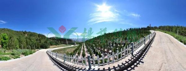 首页-人生就是博