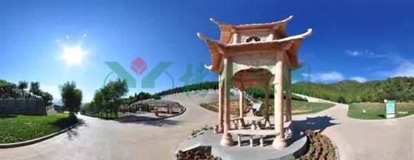 首页-人生就是博