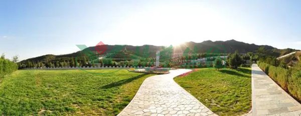 首页-人生就是博