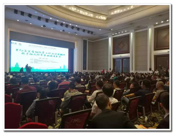 首页-人生就是博