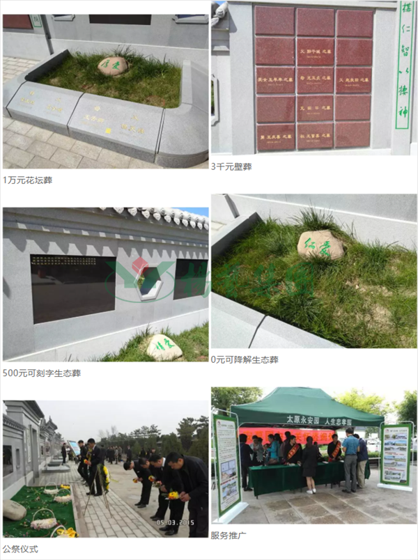 首页-人生就是博