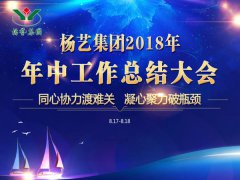 人生就是博集团2018年中总结报告（摘要）