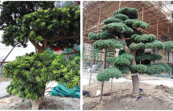 首页-人生就是博