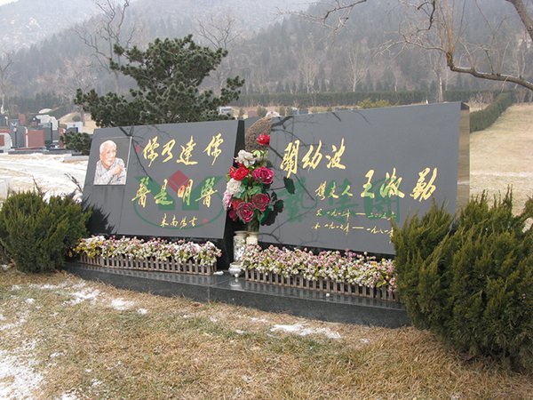 首页-人生就是博