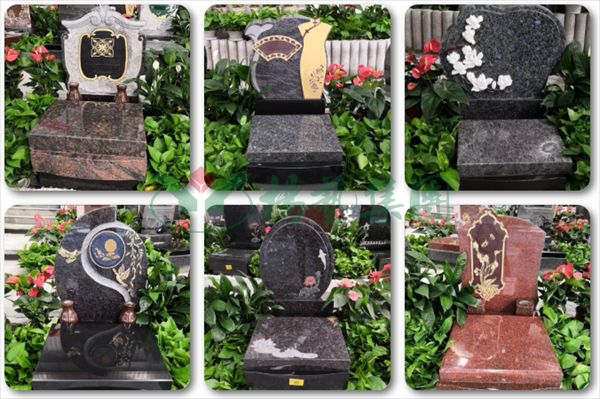 首页-人生就是博