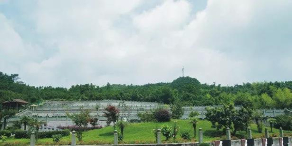 首页-人生就是博