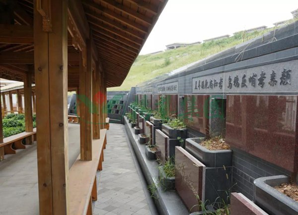 首页-人生就是博