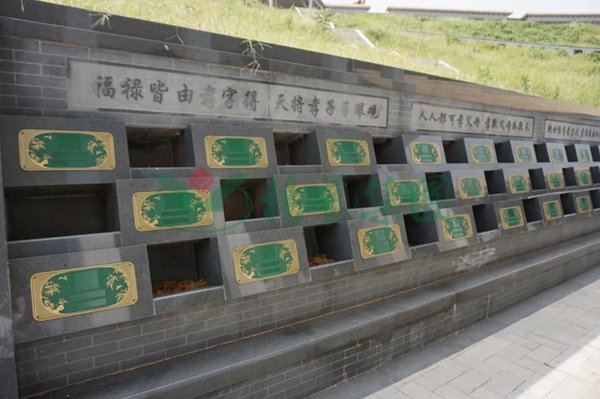 首页-人生就是博