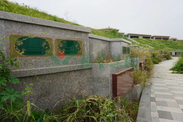 首页-人生就是博