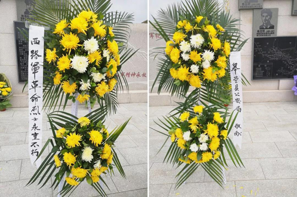 首页-人生就是博