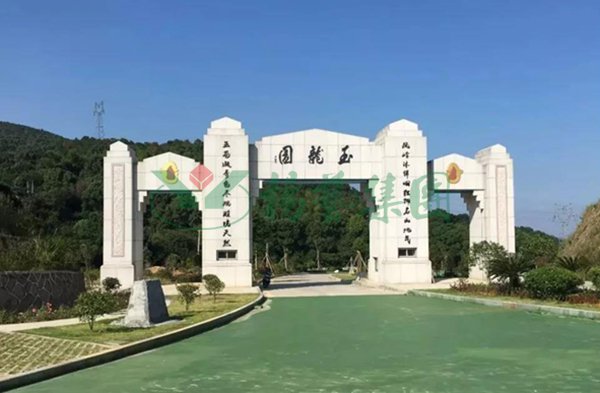 首页-人生就是博