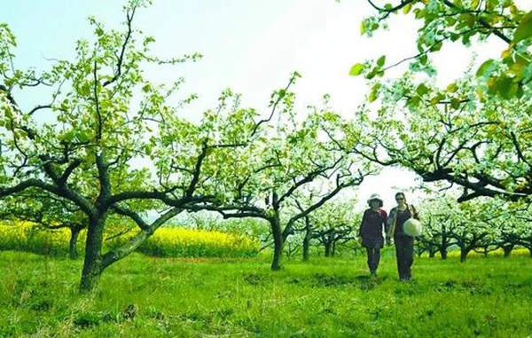 首页-人生就是博