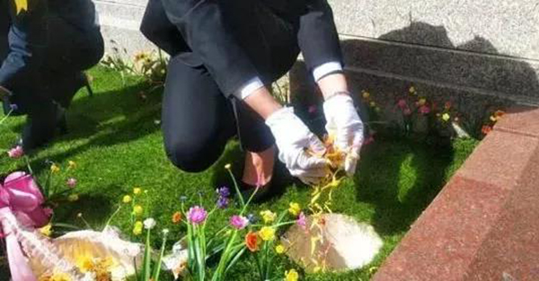 首页-人生就是博