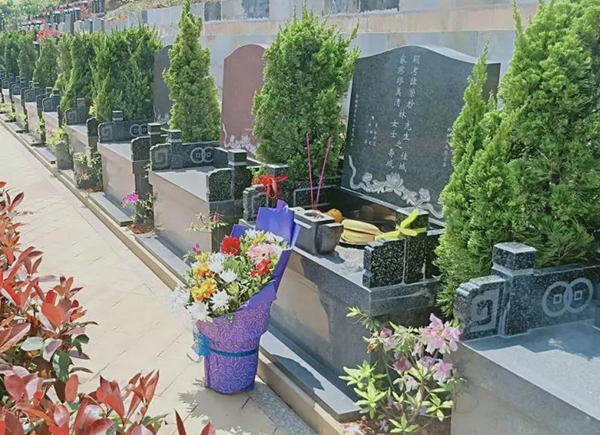 首页-人生就是博