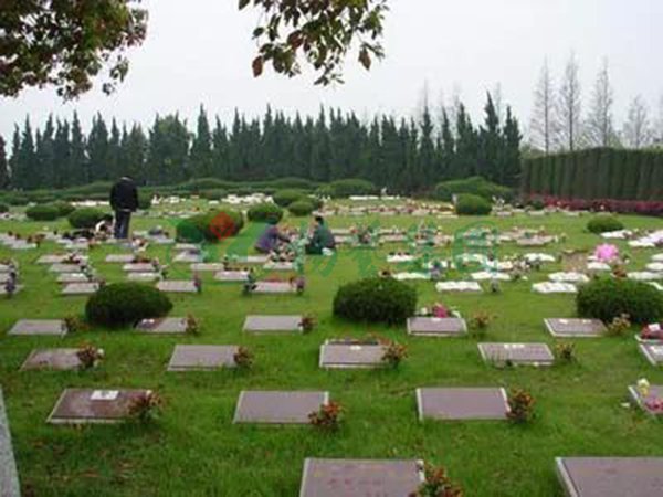 首页-人生就是博