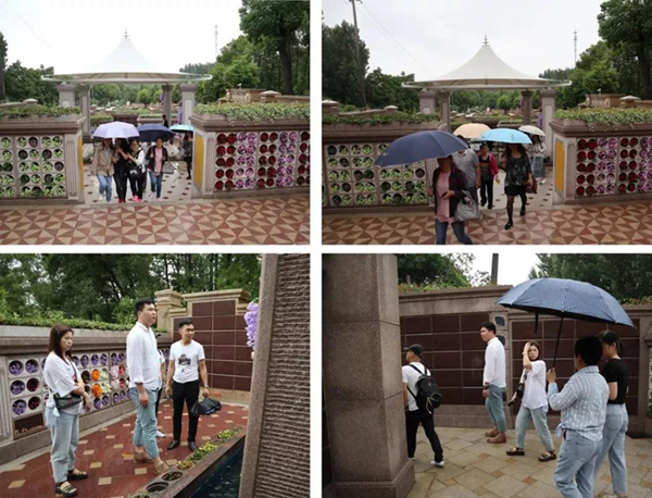 首页-人生就是博