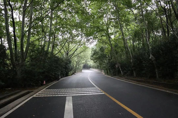 首页-人生就是博