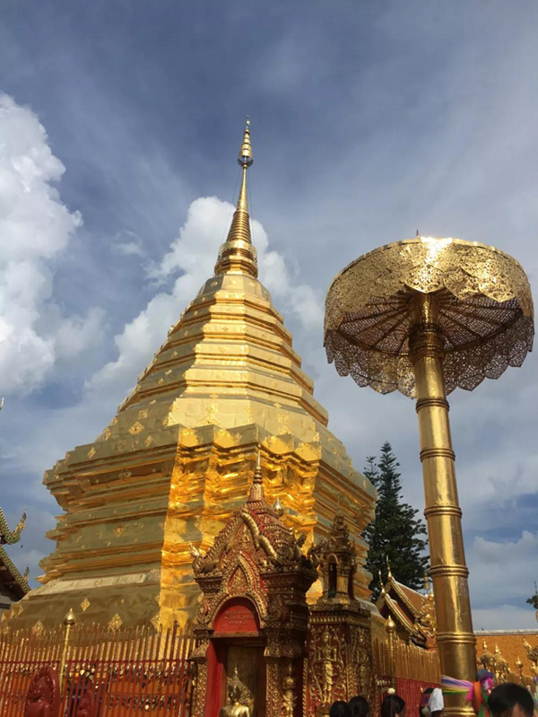 首页-人生就是博