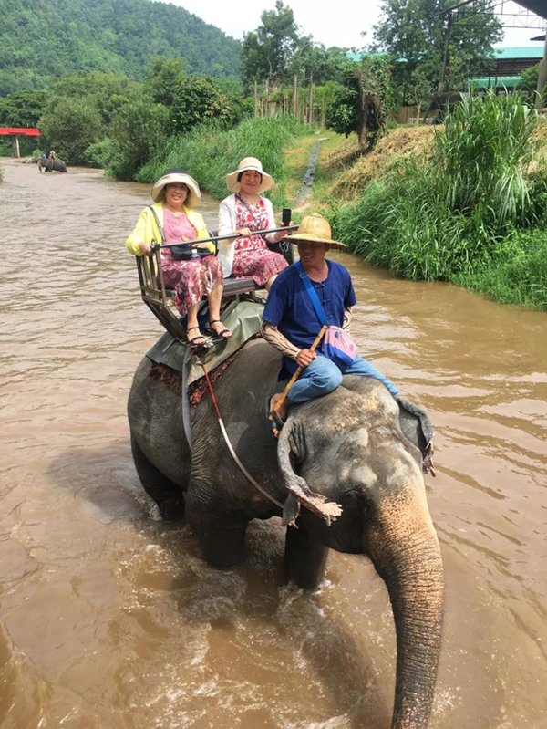 首页-人生就是博