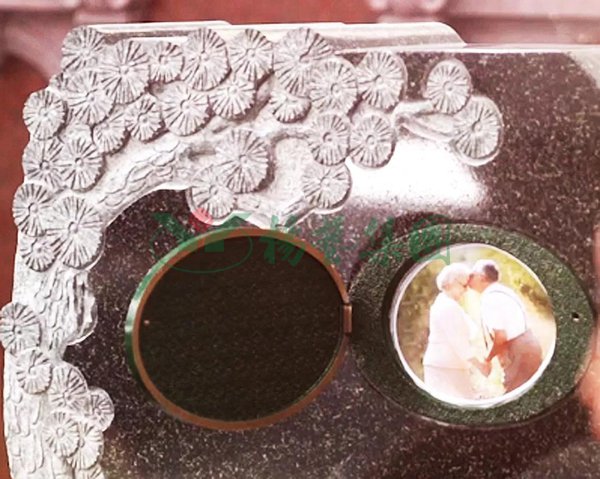 首页-人生就是博