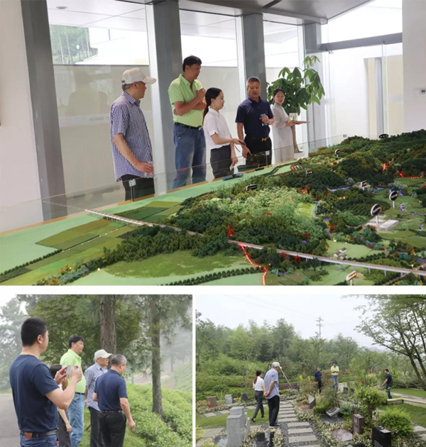 首页-人生就是博