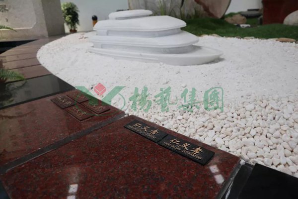 首页-人生就是博