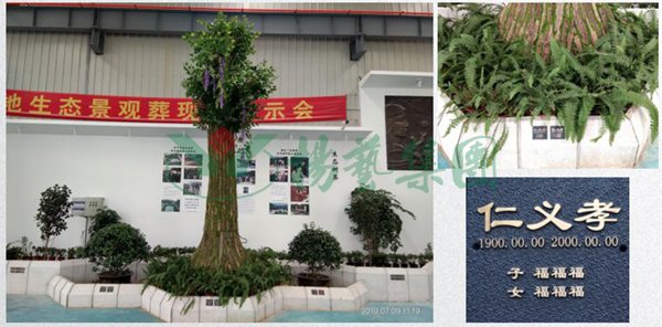 首页-人生就是博