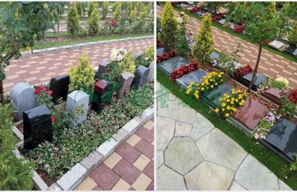 首页-人生就是博