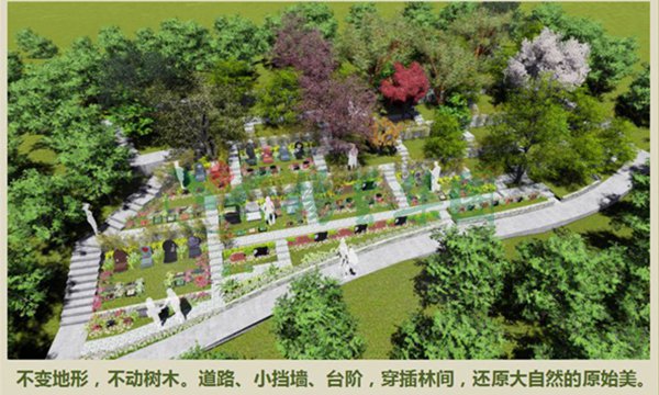 首页-人生就是博