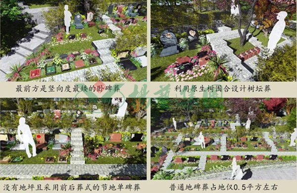 首页-人生就是博