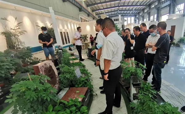 首页-人生就是博