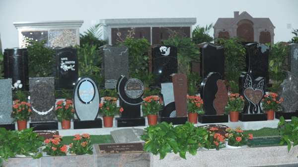 首页-人生就是博