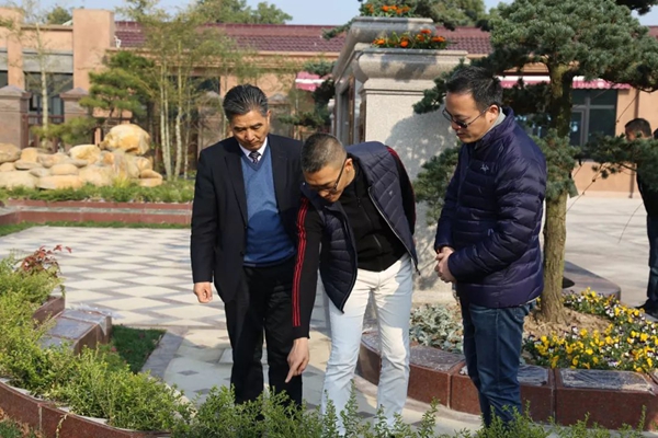 首页-人生就是博