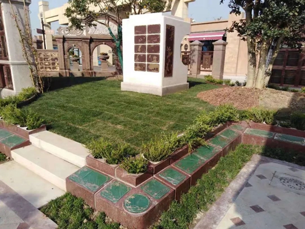 首页-人生就是博