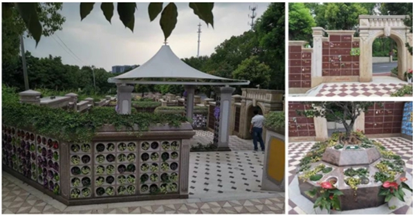 首页-人生就是博