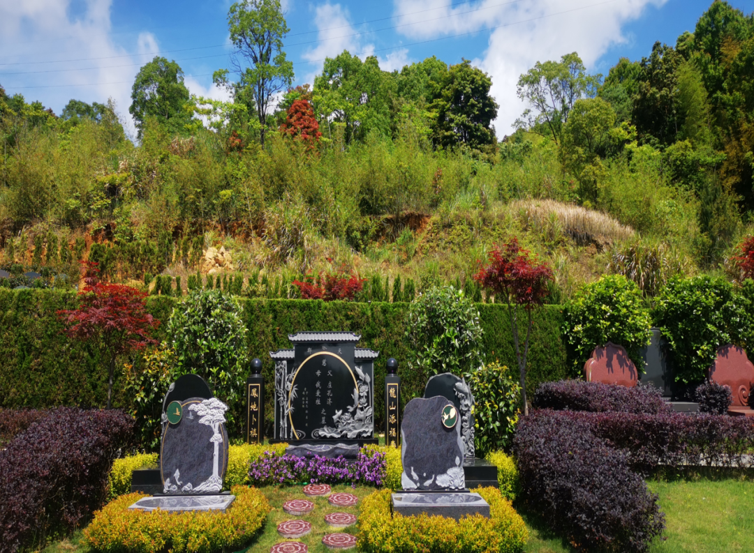 首页-人生就是博