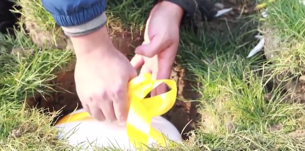 首页-人生就是博