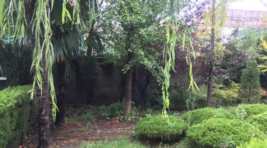 首页-人生就是博