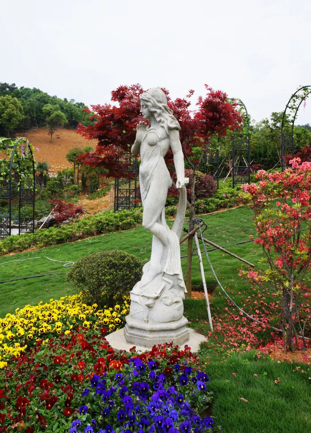 首页-人生就是博