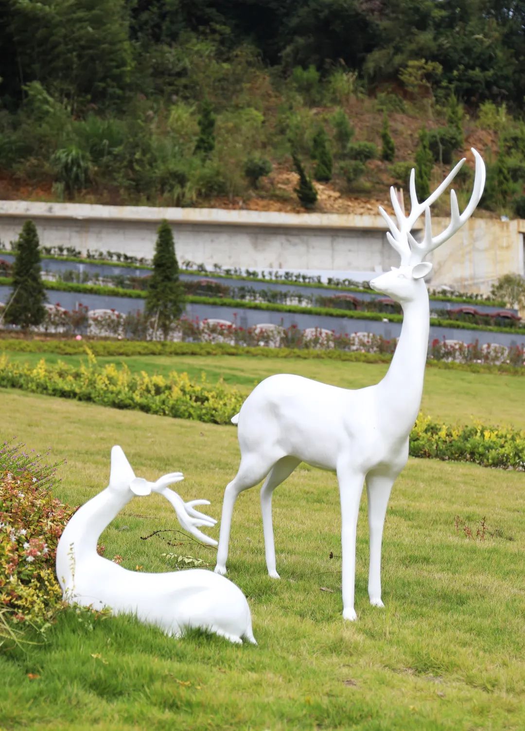 首页-人生就是博