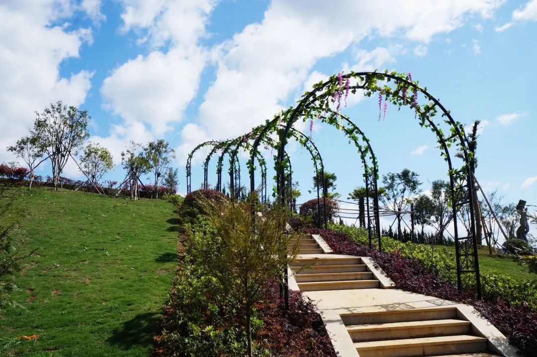 首页-人生就是博