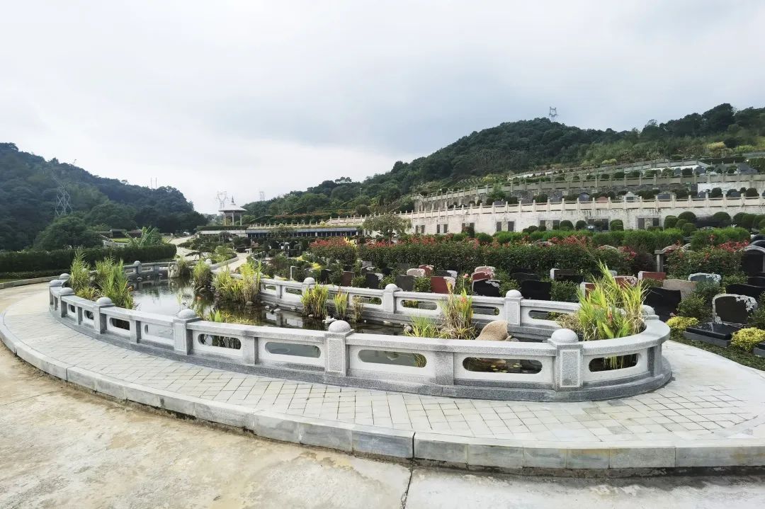 首页-人生就是博