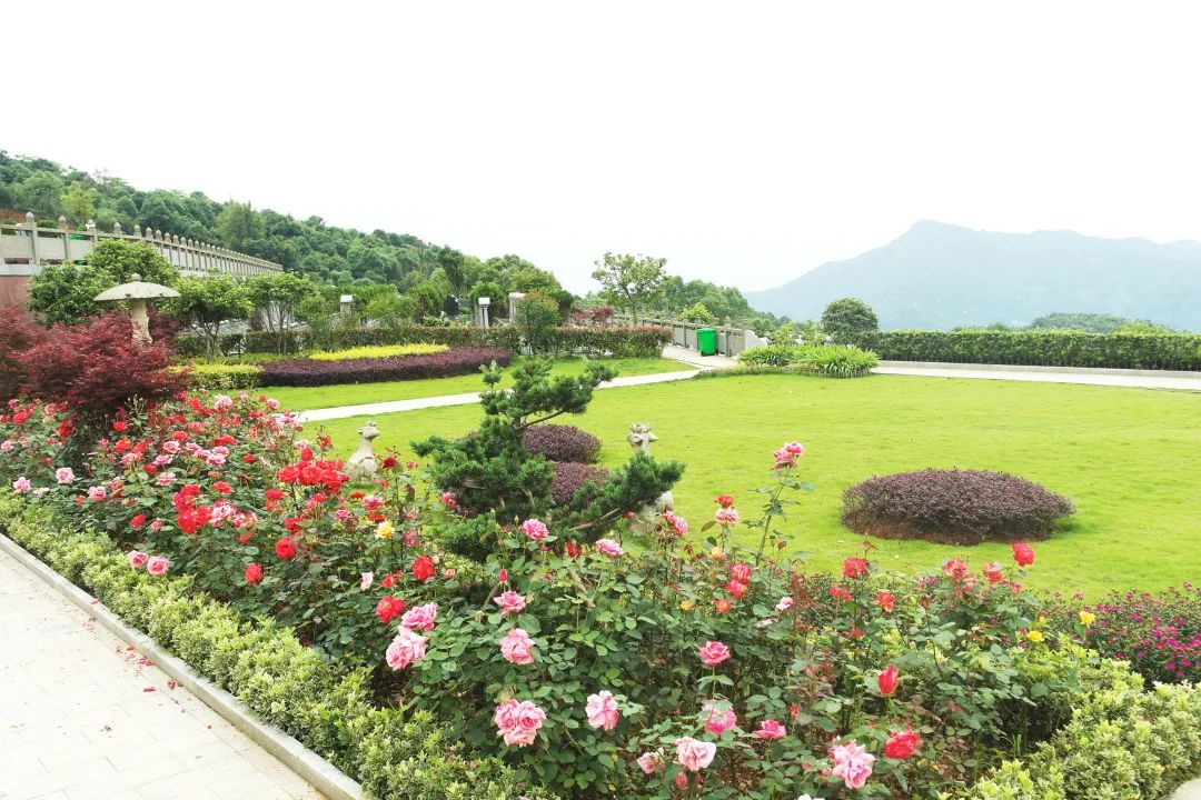 首页-人生就是博