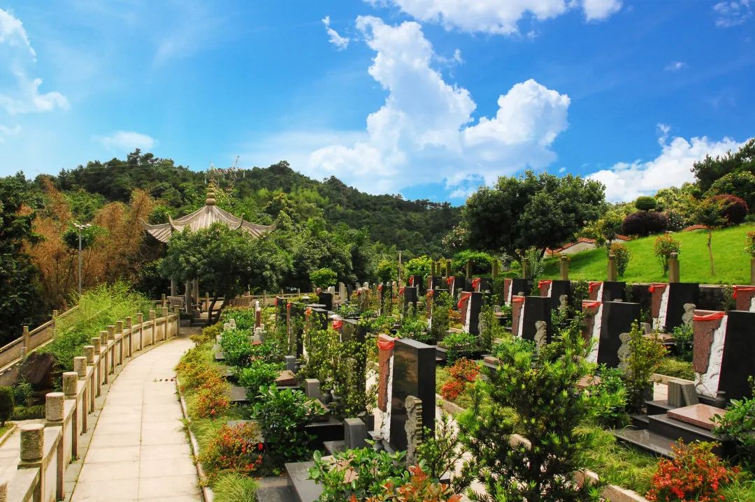 首页-人生就是博