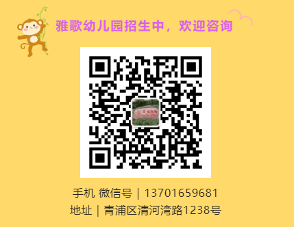 首页-人生就是博