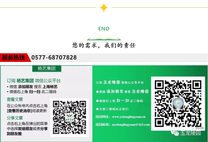 首页-人生就是博