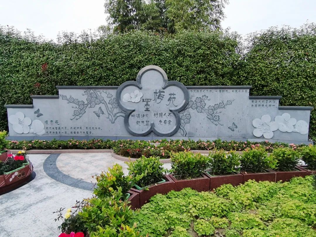 首页-人生就是博