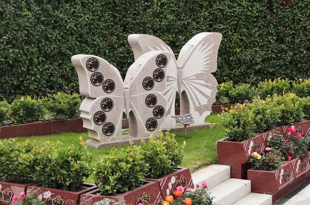 首页-人生就是博